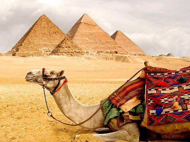 Giza